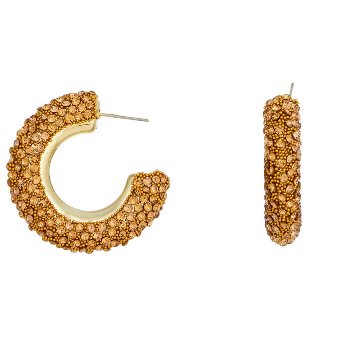 σκουλαρίκια κρίκοι στρας Reign χρυσό